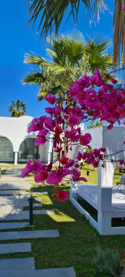 Maison - Dar Ouled Soltane Gammarth Esterno foto